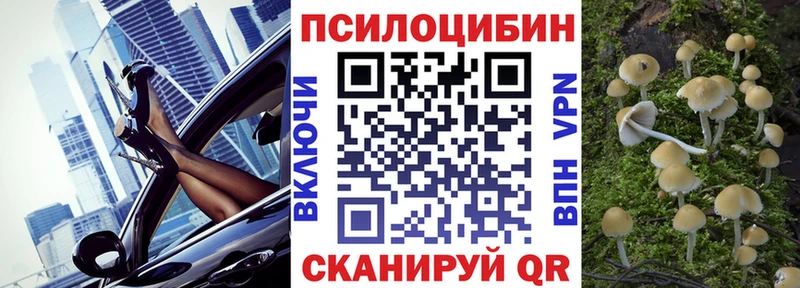 МЕГА рабочий сайт Болохово Галлюциногенные грибы Cubensis